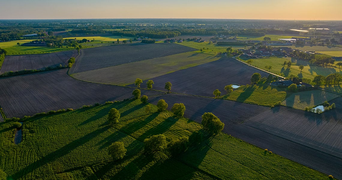 Öppet, grönt landskap med åkrar i solnedgång