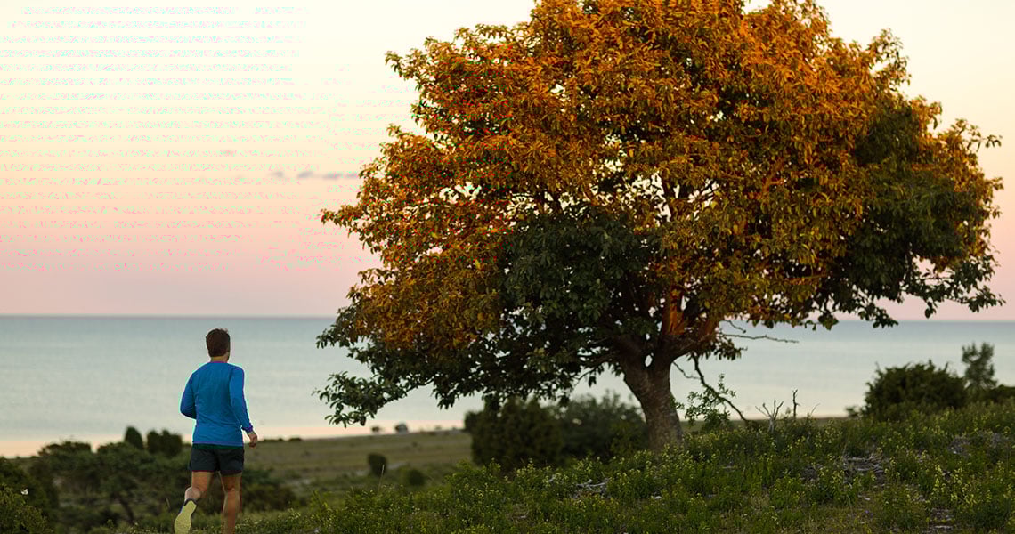En löpare i blå långärmad tröja och mörkblå shorts springer mot ett stort, ensamt träd med orange-gula höstlöv. I bakgrunden syns ett stilla hav under en skymningshimmel i rosa och lila toner