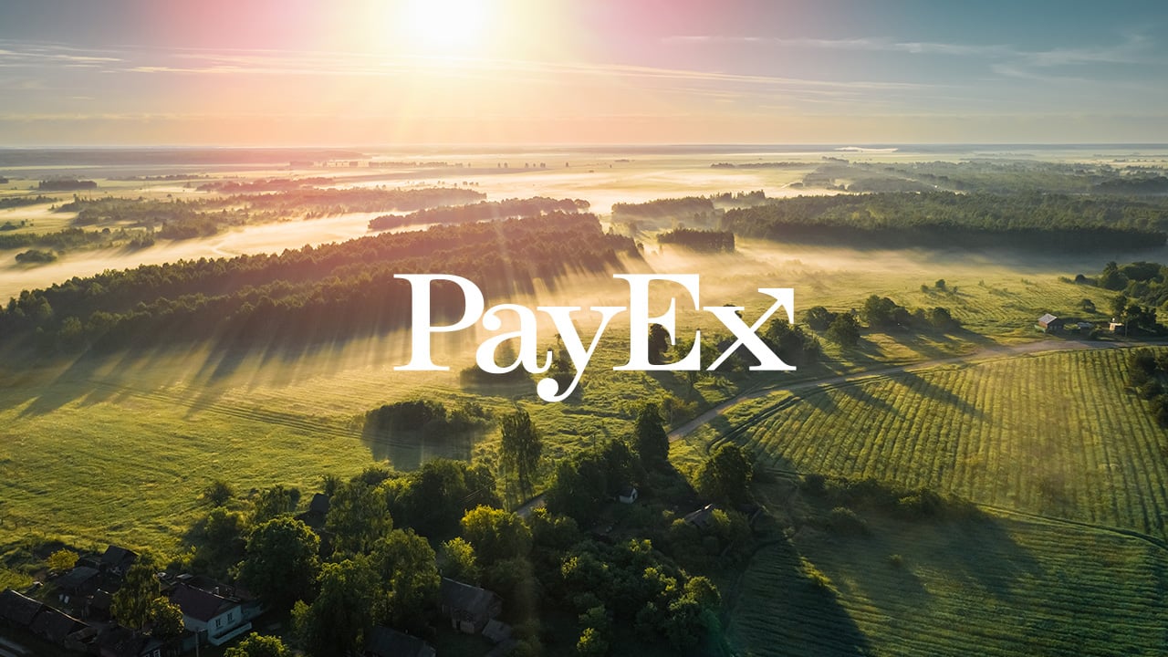 Skogslandskap i motljus med PayEx logotyp