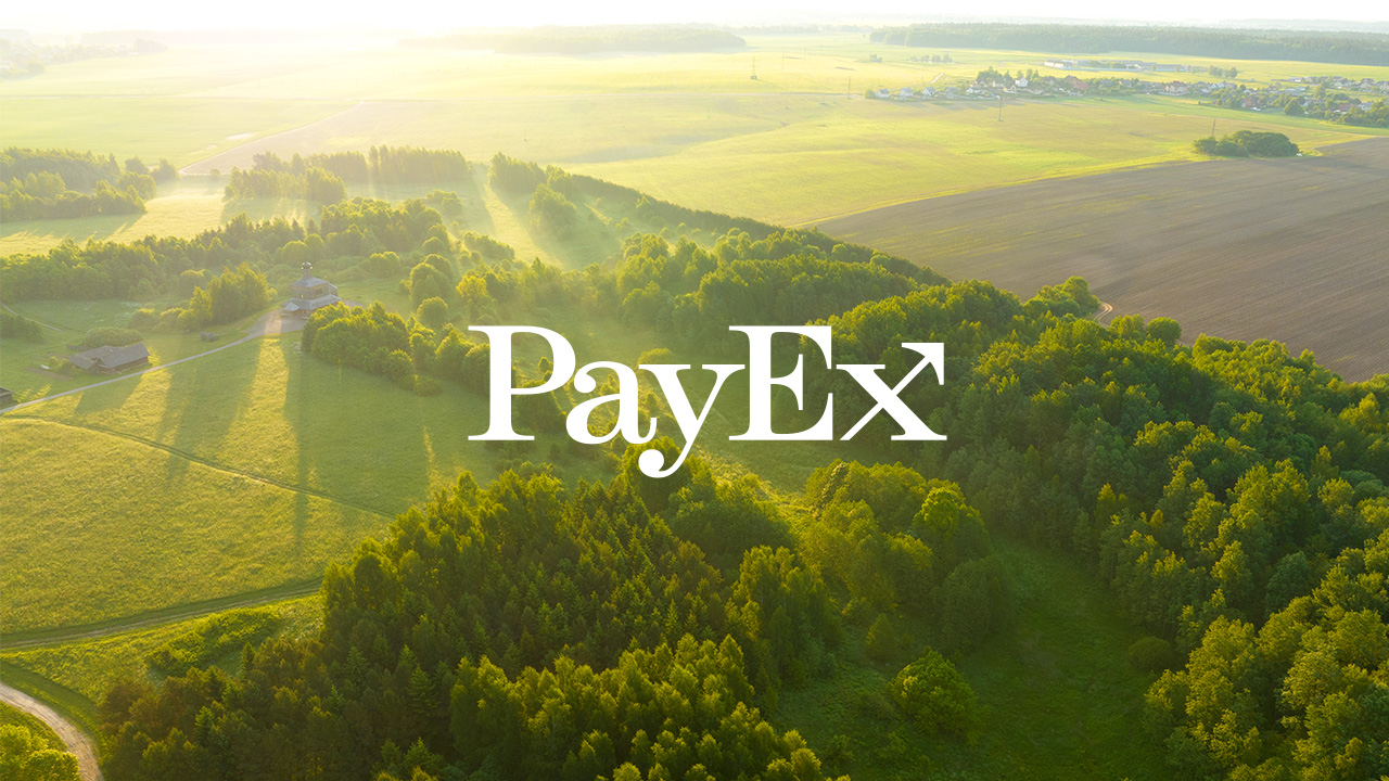 Grönt landskap i motljus