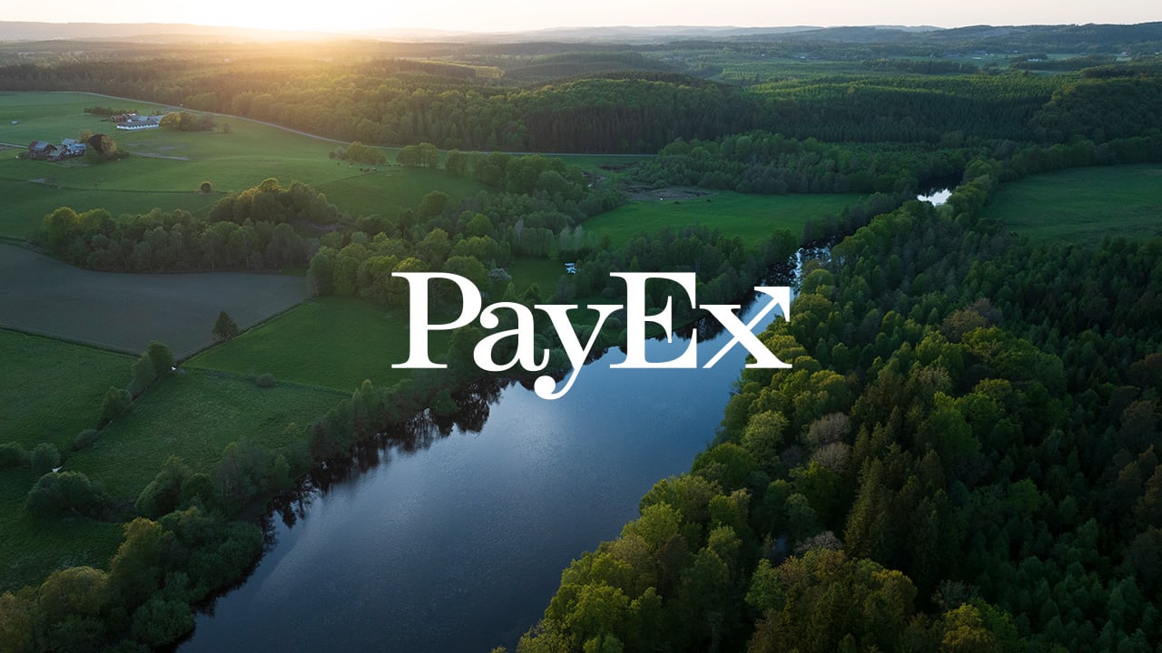 Grönt landskap i solnedgång