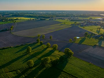 Öppet, grönt landskap med åkrar i solnedgång