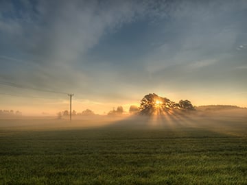 Öppet landskap i soluppgång