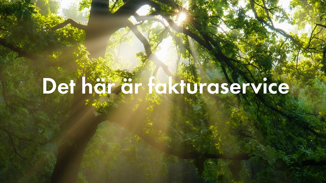 Film om PayEx fakturering